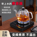 蒸茶器养生壶电茶炉办公室泡茶壶烧水壶 黑茶白茶煮茶器蒸汽喷淋式