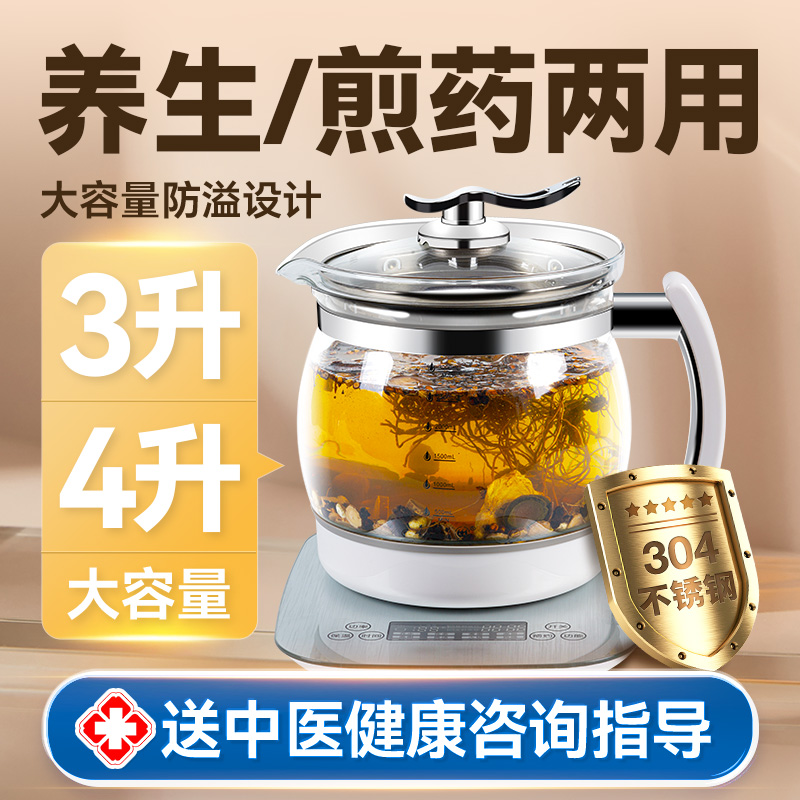中药电煎壶罐熬药大容量中医煎药壶全自动中药壶家用4升3养生大号