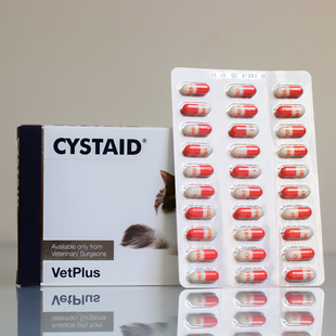 英国原装猫利尿通cystaid plus猫尿血尿频排尿困难猫自发性膀胱炎