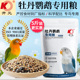 开元 5斤鸟粮饲料专用鸟食饲料谷子带滋养丸 鹦鹉粮牡丹玄凤大包装