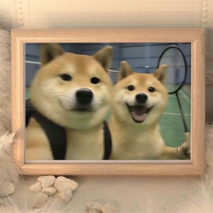 狗狗哈基米猫猫狗狗羽毛球可爱快乐治愈系相框周边礼物送球友搭子