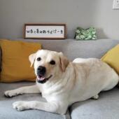 每一天都值得热爱玄关入户装 饰画送朋友礼物自律励志书法摆件摆台