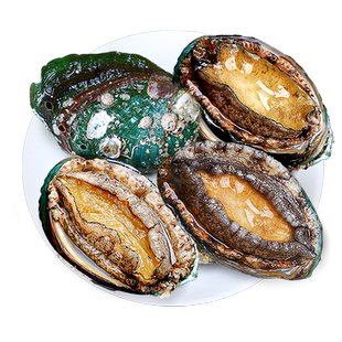 【林依轮直播间】冷冻即食鲍鱼500g（10-12头/斤）*2袋