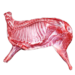 东上御品羊肉新鲜半只羊10斤生羊肉内蒙古羊腿羊排羊蝎子火锅礼盒