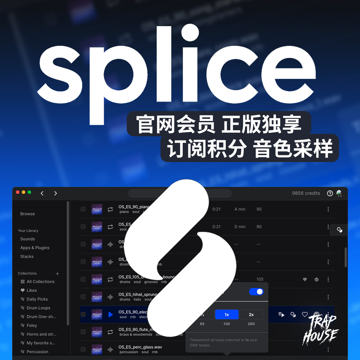 Splice 会员订阅月度Creator积分采样包代充代下音色旋律鼓包音源