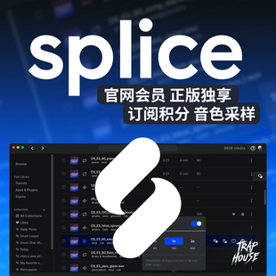 Splice 会员订阅月度Creator积分采样包代充代下音色旋律鼓包音源
