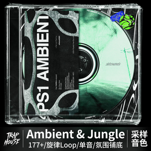 Ambient编曲音色旋律Loop采样Jungle氛围ethereal2080音源包 UDG
