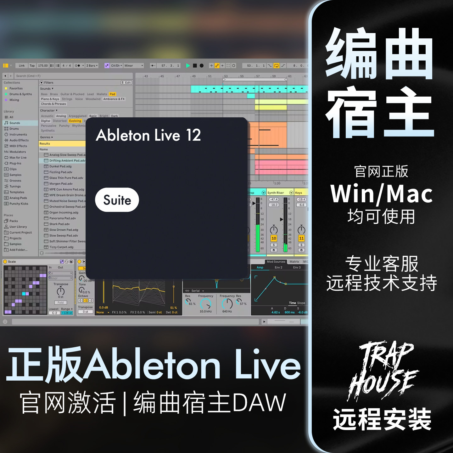 AbletonLive12宿主编曲授权位