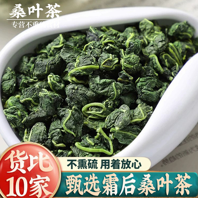 霜后桑叶茶500g正品中药材