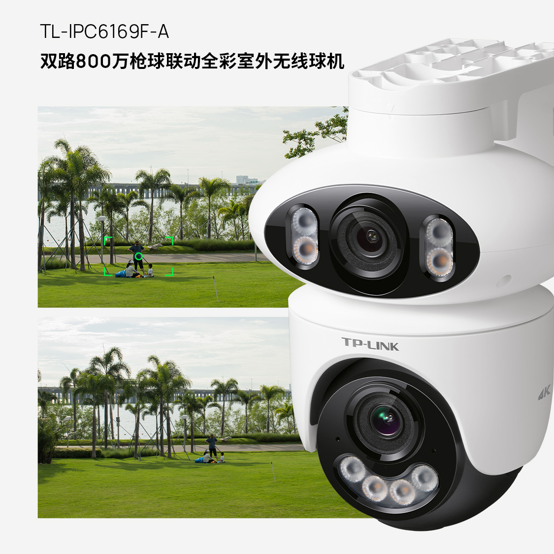 普联TP-LINK摄影头室外高清全彩无线监控摄像头双频WIFI手机远程监控器双路家用球机网络摄像机TL-IPC6169F-A