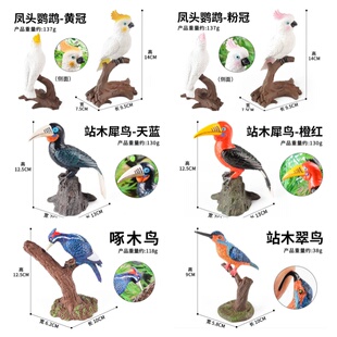 儿童仿真野生动物玩具模型飞鸟家居造景摆件啄木鸟鹦鹉犀鸟翠鸟