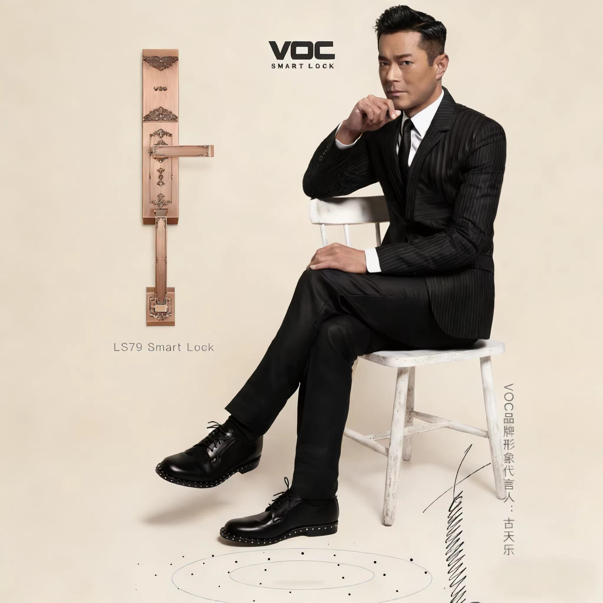 VOC智能锁家用别墅防盗门指纹锁密码刷卡多方式开锁电子锁LS79