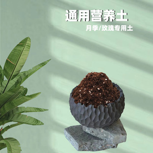 通用养花花土营养土种菜塘泥炭土多肉草莓绿萝月季 兰花专用营养土
