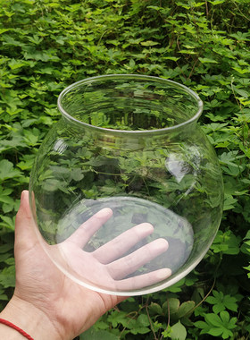 养铜钱草小鱼缸 3.3玻璃小缸 玻缸水槽 高硼硅小型金钱草水植物缸