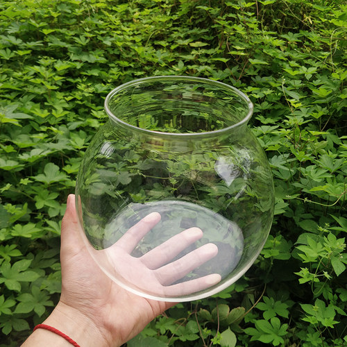 养铜钱草小鱼缸 3.3玻璃小缸 玻缸水槽 高硼硅小型金钱草水植物缸