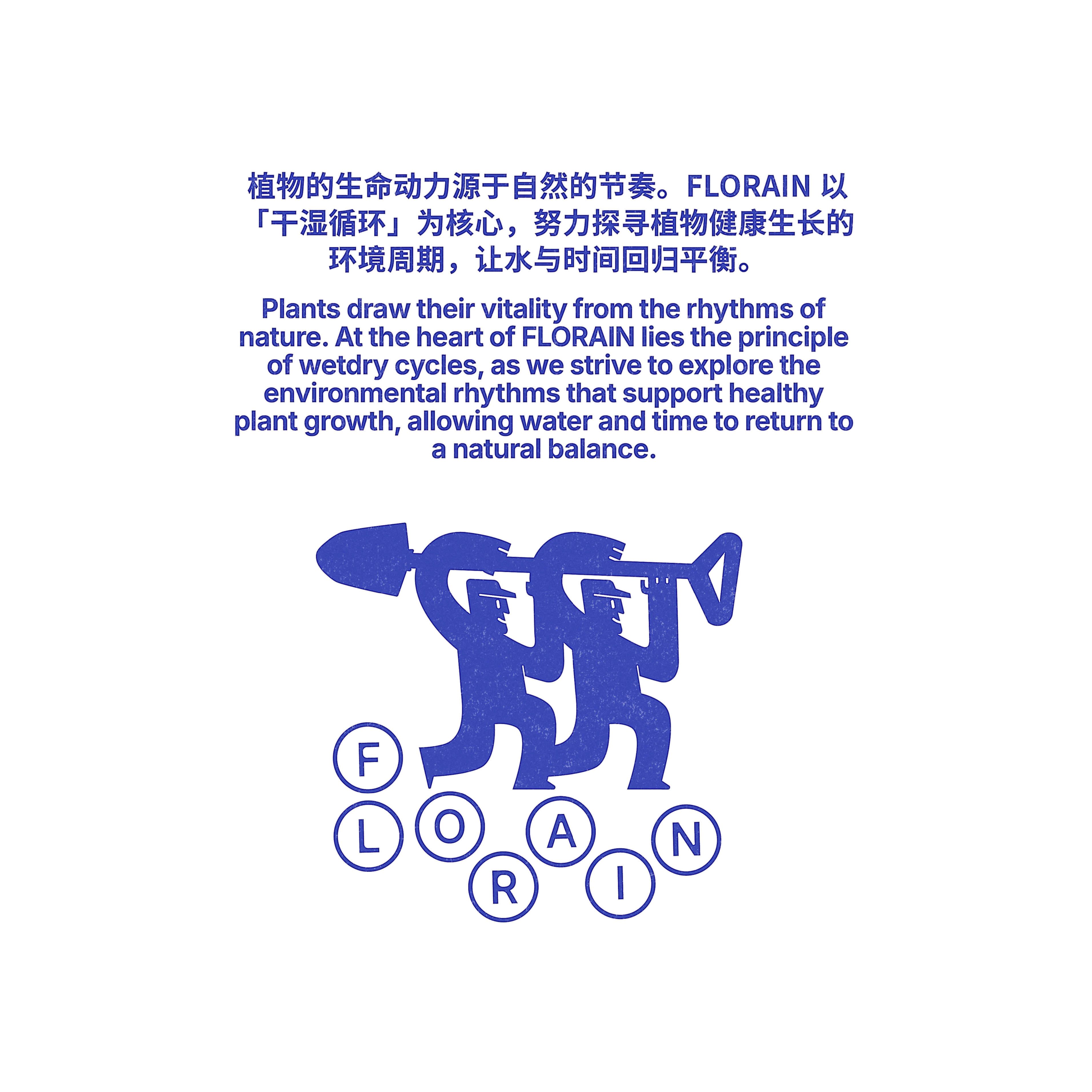 Florian干湿循环 花烛天南星科 专拍链接