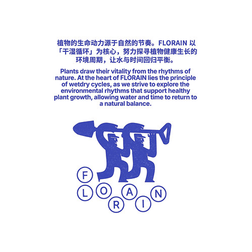 Florian干湿循环 花烛天南星科 专拍链接