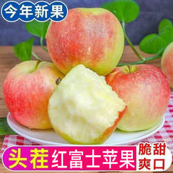 山西运城正宗早熟红富士苹果新鲜水果当季整箱包邮现摘脆甜苹果