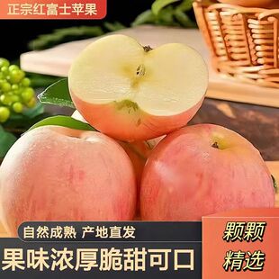正宗红富士苹果当季 新鲜水果现摘整箱脆甜冰糖心丑苹果脆甜爆汁