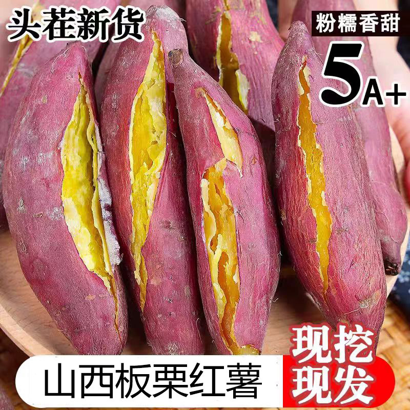 正宗山西张良板栗红薯沙地现挖