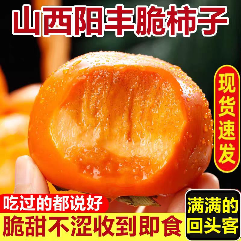 山西阳丰巧克力脆柿子当季新鲜水果整箱时令脆大甜硬柿子包邮