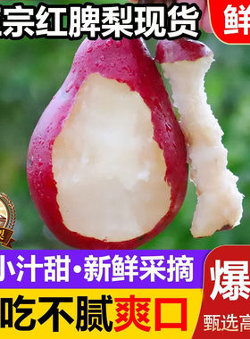 当季新鲜红啤梨整箱包邮太婆梨