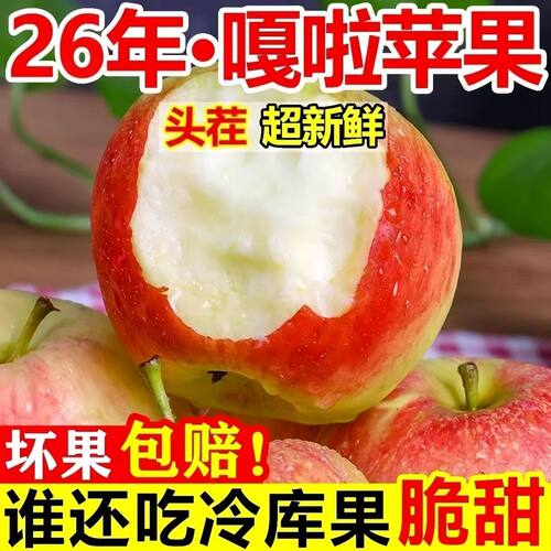 山西当季新鲜嘎啦脆甜苹果非富士