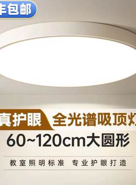 超大圆形灯具大吸顶灯全光谱