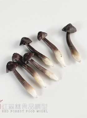 仿真蔬菜黑皮鸡枞菌菇、菌类蘑菇火锅食品模型样品菜酒店摆件