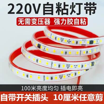 户外自粘防水灯带220V插头直插室外LED超亮灯带装饰宿舍家装灯条