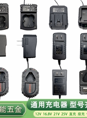 8.4V12V16.8V18V20V21V48V42V通用型大功率电钻锂电池快充充电器