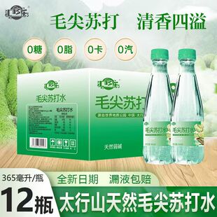 毛尖苏打水饮品无糖弱碱性无汽饮料365ML*12瓶整箱新日期特价批发