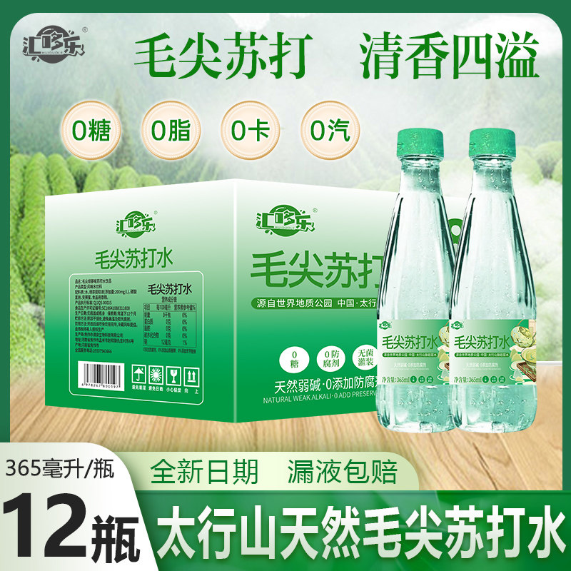 毛尖苏打水饮品无糖弱碱性无汽饮料365ML*12瓶整箱新日期特价批发