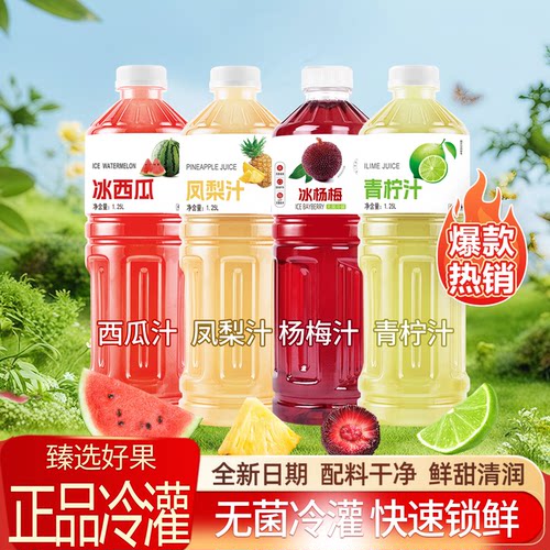 青柠汁西瓜汁杨梅汁凤梨果汁饮料