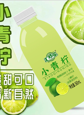 网红小青柠汁饮料柠檬汁果汁饮料整箱批特价小瓶水果汁360ml*24瓶