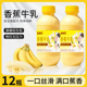 12瓶促销 装 香蕉牛乳饮品225ml 12瓶装 整箱早餐风味乳味饮料