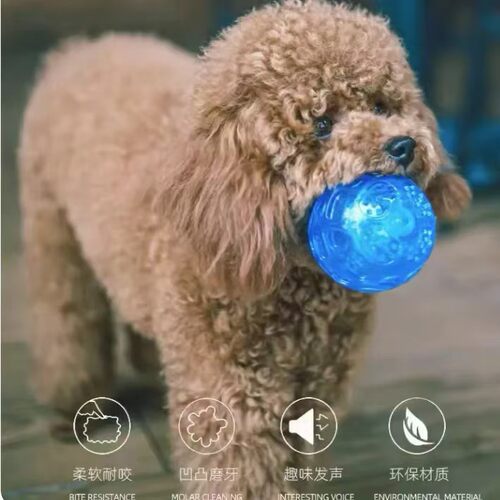 宠物玩具球啃咬磨牙耐咬洁齿空心TPR互动球多色狗狗弹力球猫咪球