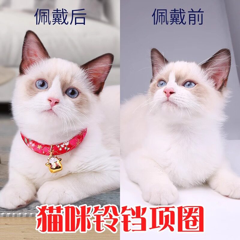 日本和风猫咪项圈猫圈带铃铛狗狗颈圈猫脖圈宠物用品