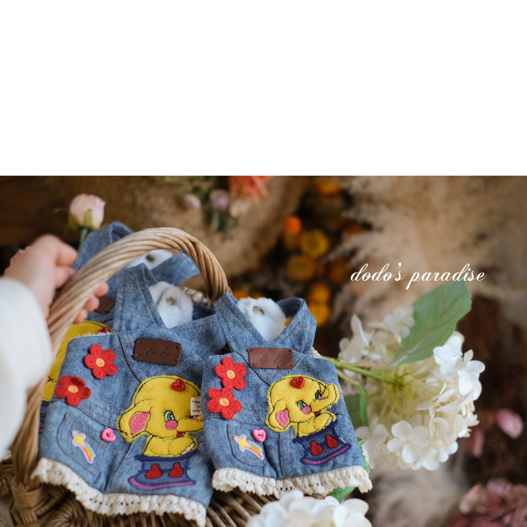 25新款秋冬宠物猫狗衣服小型犬泰迪约克夏小马牛仔加绒卡通背带裙