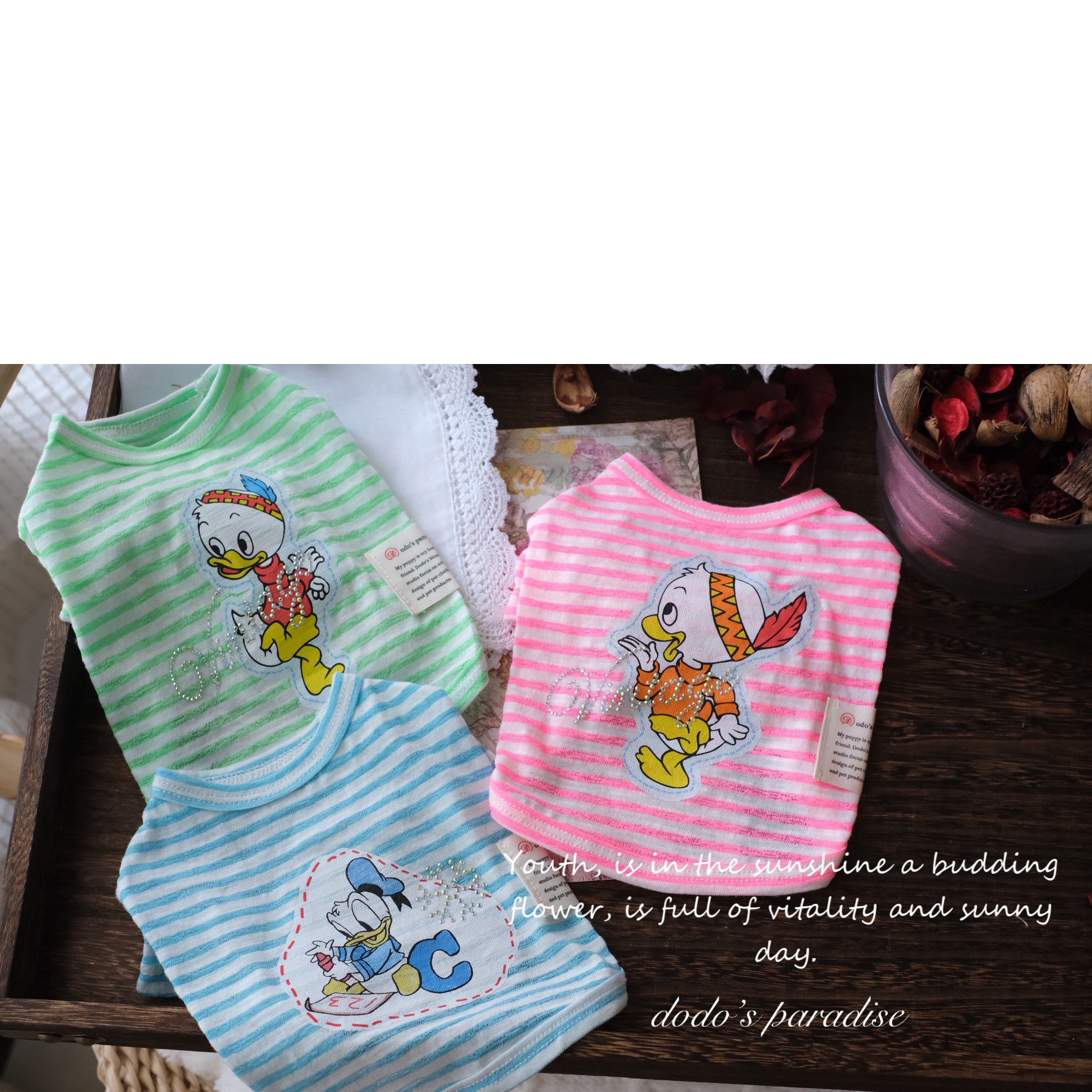 新款春夏宠物猫狗衣服小型犬泰迪约克夏马尔济斯日版背心T恤打底