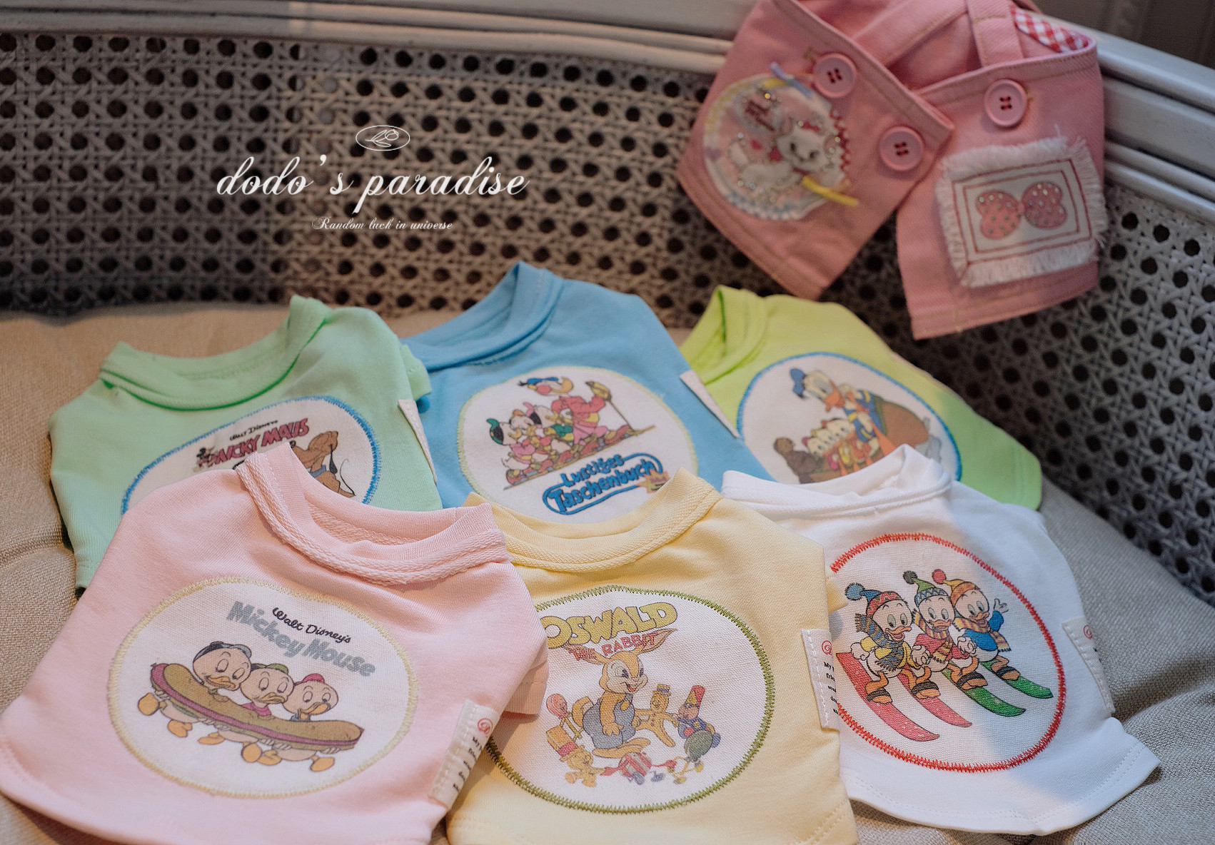 宠物狗泰迪约克夏马尔济斯