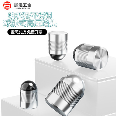 不锈钢球涨式高压气缸堵头