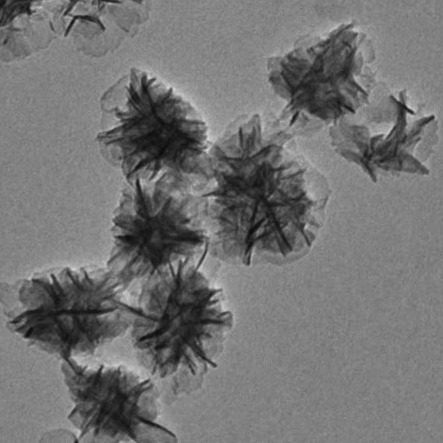 花状二氧化锰纳米粒子 100nm左右 粒径均匀 大比表面 可载药 泰仪
