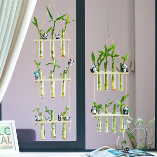 壁挂花器墙面绿萝富贵竹水培植物ins风北欧透明玻璃花瓶摆件创意