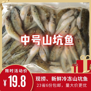 冰鲜山坑鱼仔新鲜冷冻小河鱼淡水鱼小龙鱼山溪鱼餐厅商用食材包邮