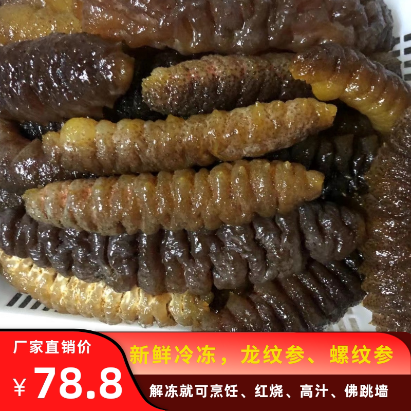 高质量螺纹参龙纹参大海参冷冻水发大乌参速发酒店特色菜1条包邮