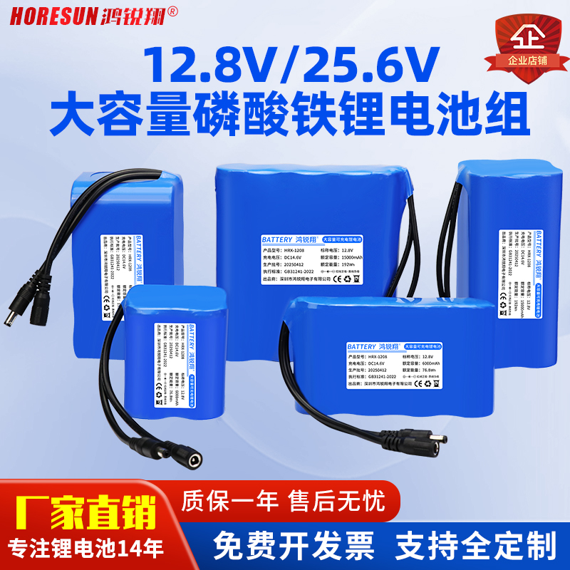 12v24V磷酸铁锂电池组大功率