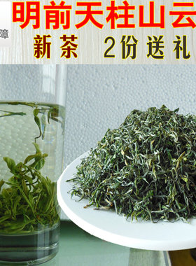 2026新茶天柱山明前茶彭河毛毛月