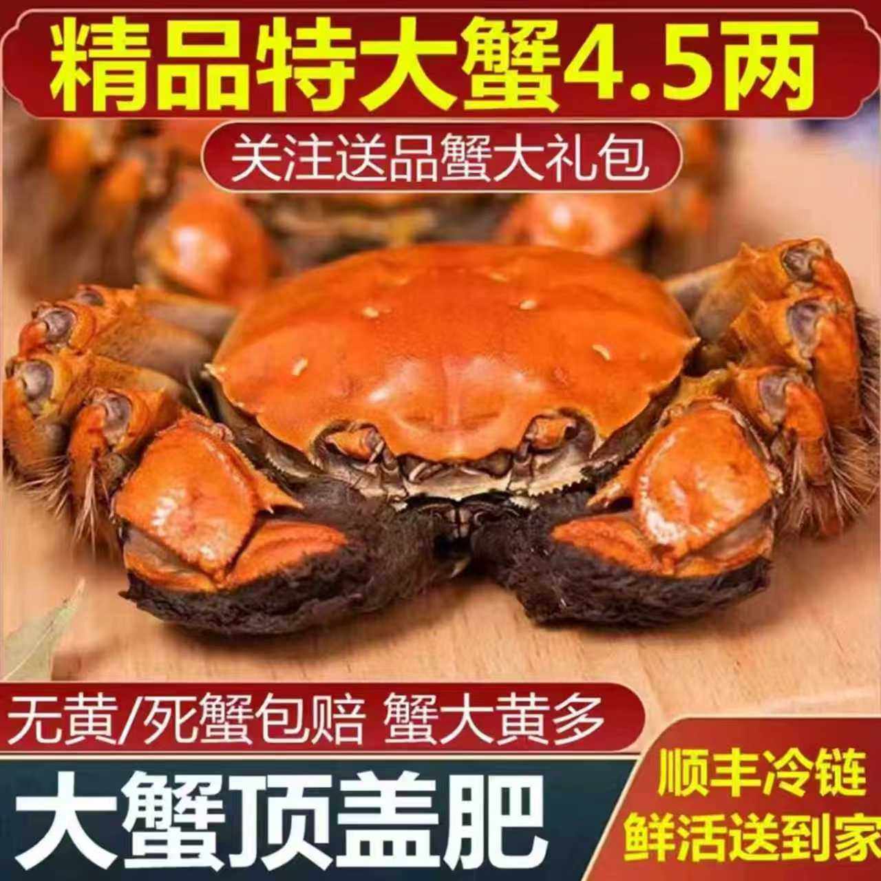 活蟹现货【特大蟹4.5两】大闸蟹鲜活螃蟹特大全母清水河蟹湖鲜,水产肉类/新鲜蔬果/熟食,大闸蟹,淘宝优惠券,粉丝福利购,淘宝优惠卷