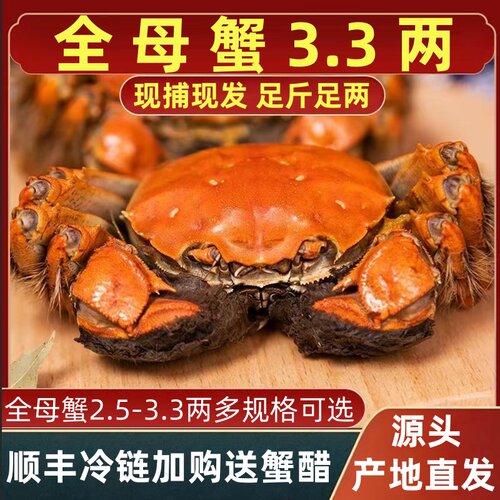 [活蟹]特大螃蟹大闸蟹鲜活现货全母3两官方旗舰阳澄礼盒湖鲜河蟹